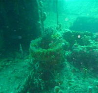 Wallaroo Scuba Club - Accommodation Adelaide