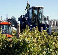 Ballast Stone Estate Wines Pty Ltd - Accommodation Adelaide