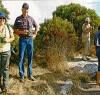 Coobowie Bird Hide - Accommodation Adelaide
