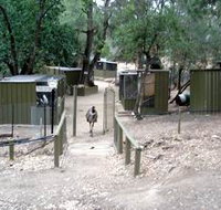 Humbug Scrub Wildlife Sanctuary - Accommodation Adelaide