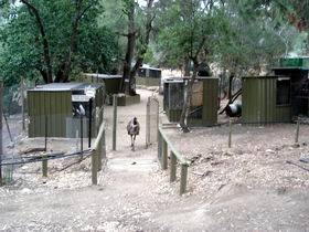 Humbug Scrub Wildlife Sanctuary - Accommodation Adelaide 0