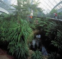 Bicentennial Conservatory - Accommodation Adelaide