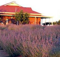 Bella Lavender Estate - Accommodation Adelaide