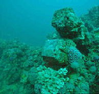 Adelaide's Underwater Heritage Trail - Accommodation Adelaide