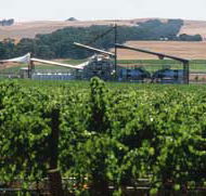 Kirrihill Wines - Accommodation Adelaide