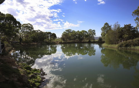 Maggie Beer's Farm Shop - Accommodation Adelaide 6