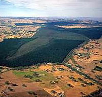 Mount Crawford Forest Reserve - Accommodation Adelaide