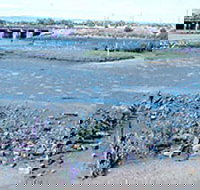 Jervois Basin Ships' Graveyard - Accommodation Adelaide