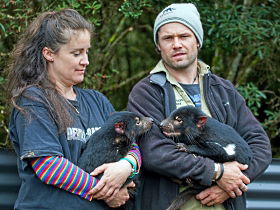 Cradle Mountain TAS Accommodation Adelaide