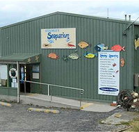 Stanley Seaquarium - Accommodation Adelaide