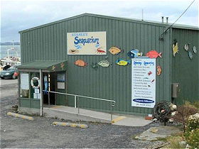 Stanley Seaquarium - Accommodation Adelaide 0