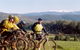Tasmanian Trail - thumb 0