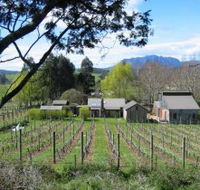 Wilmot Hills Vineyard - Accommodation Adelaide