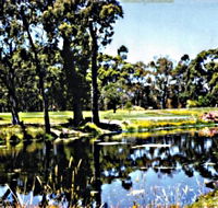 Smithton Country Club - Accommodation Adelaide