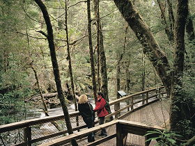 Franklin River Nature Trail - Accommodation Adelaide 0