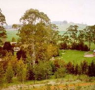 The Tasmanian Arboretum - Accommodation Adelaide