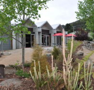Tin Dragon Interpretation Centre and Cafe - Accommodation Adelaide