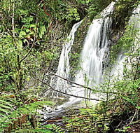 Hogarth Falls - Accommodation Adelaide