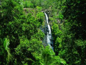 Montville QLD Accommodation Adelaide