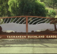 Tasmanian Bushland Garden - Accommodation Adelaide