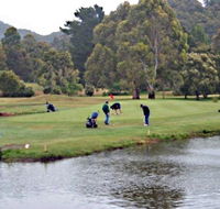 Penguin Golf Course - Accommodation Adelaide