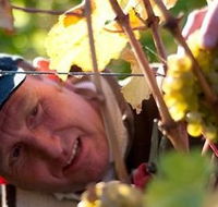 Puddleduck Vineyard - Accommodation Adelaide