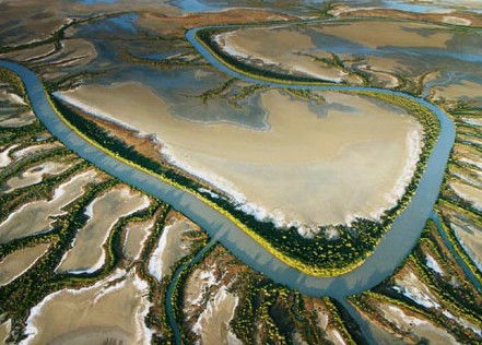 The Wilderness Gallery - Accommodation Adelaide 0