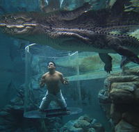 Crocosaurus Cove - Accommodation Adelaide