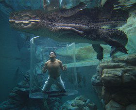 Crocosaurus Cove - Accommodation Adelaide 0