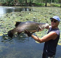 Barra Feeding - Accommodation Adelaide