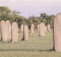 Magnetic Termite Mounds - Accommodation Adelaide