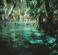 Mataranka Thermal Pool - Accommodation Adelaide
