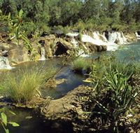 Flora River Nature Park - Accommodation Adelaide