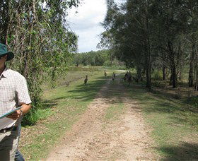 Coombabah QLD Accommodation Adelaide