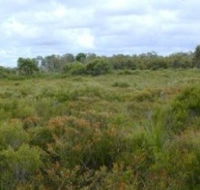 Pine Ridge Conservation Park - Accommodation Adelaide