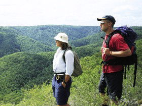 Sunshine Coast Hinterland Great! Walk - Accommodation Adelaide 0