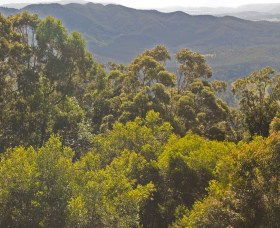 Curramore QLD Accommodation Adelaide
