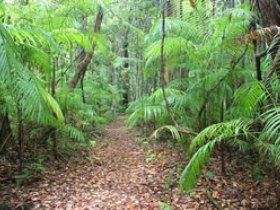Mapleton QLD Accommodation Adelaide