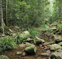 Amamoor State Forest - Accommodation Adelaide
