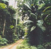 Conondale Great Walk - Accommodation Adelaide
