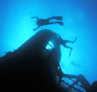 Ex HMAS Brisbane Dive Site - Accommodation Adelaide