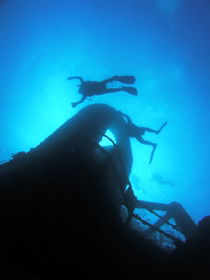 Ex HMAS Brisbane Dive Site - Accommodation Adelaide 0