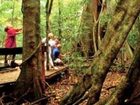Mary Cairncross Scenic Reserve - Accommodation Adelaide 0