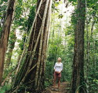 Wet Tropics - Accommodation Adelaide