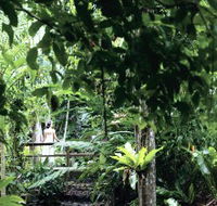 Flecker Botanic Gardens - Accommodation Adelaide