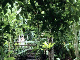 Flecker Botanic Gardens - Accommodation Adelaide 0