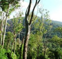 Smiths Track Barron Gorge National Park - Accommodation Adelaide