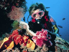 Osprey Reef - Accommodation Adelaide 0