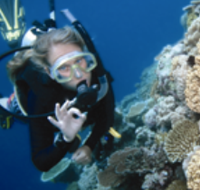 Moore Reef Dive Site - Accommodation Adelaide