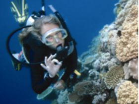 Moore Reef Dive Site - Accommodation Adelaide 0